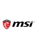 MSI